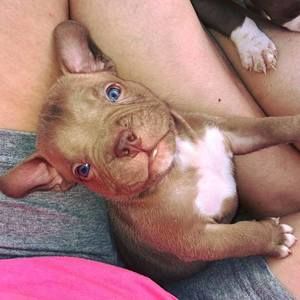 Meet your Posher, Tracy